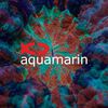 aquamarin.sg