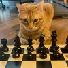 kyelplayschess