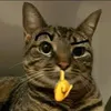 dehbfufbfvds