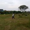 dika35334