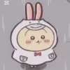 usagi.hachiware