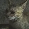 mariadanielleb0