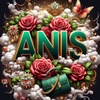 anis623586