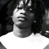 bogda_n_49