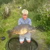 archiesav3