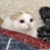 cutephomaique123453