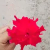 riyanaaktar713