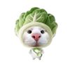 kaohom_cyj333