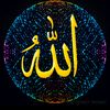 nasirnasir4138