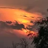 alanhshd
