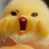 oviiiiii23_