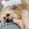 _kikoandfamily