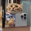 dieleppies