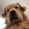 bexlardsover