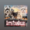 outtatownbullies
