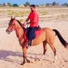 maqsoodcheema472