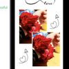 alizay_ilyas