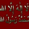 user7n53sxwtep210