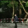 trng_khhung