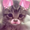 wearesocutteee123