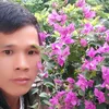 ninh.hn
