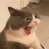 minhvng3477
