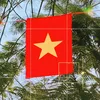 nguyenquocdat_daw_