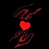 user53825037780636