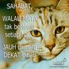 ctfatimahngah