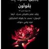 user9854248609362