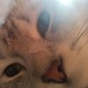 user9224070867078