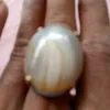 singobaron6