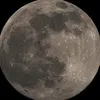 lorenzodiludovica