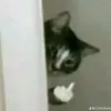 dphhlinhh_05