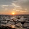 gavrilo_254