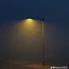 phannhw_09