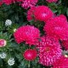 mayram_0101