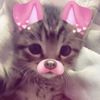 mar_amm.pmw