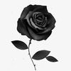 blackrose31462