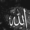 abdel_6660