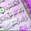 user76607845008347