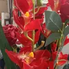 trinh.anh.pham