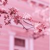 prettyinpink7x7