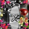 mohammedgamiel83