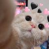 clouysky_22