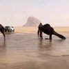 متيه الوضحاء 🥇