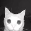 makyuv