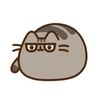 ._.calicocritterlover