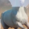 mohamedbenmahfoud89