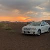 abo_meshal_511